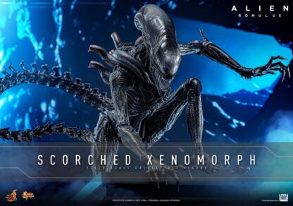 Hot Toys Alien Romulus Scorched Alien MMS784