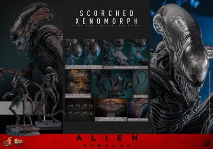 Hot Toys Alien Romulus Scorched Alien MMS784